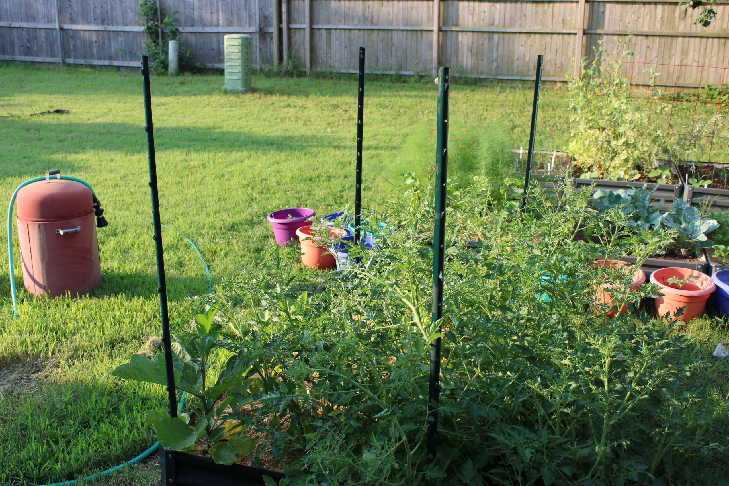 Misadventures in the Garden: Tomato Trellis