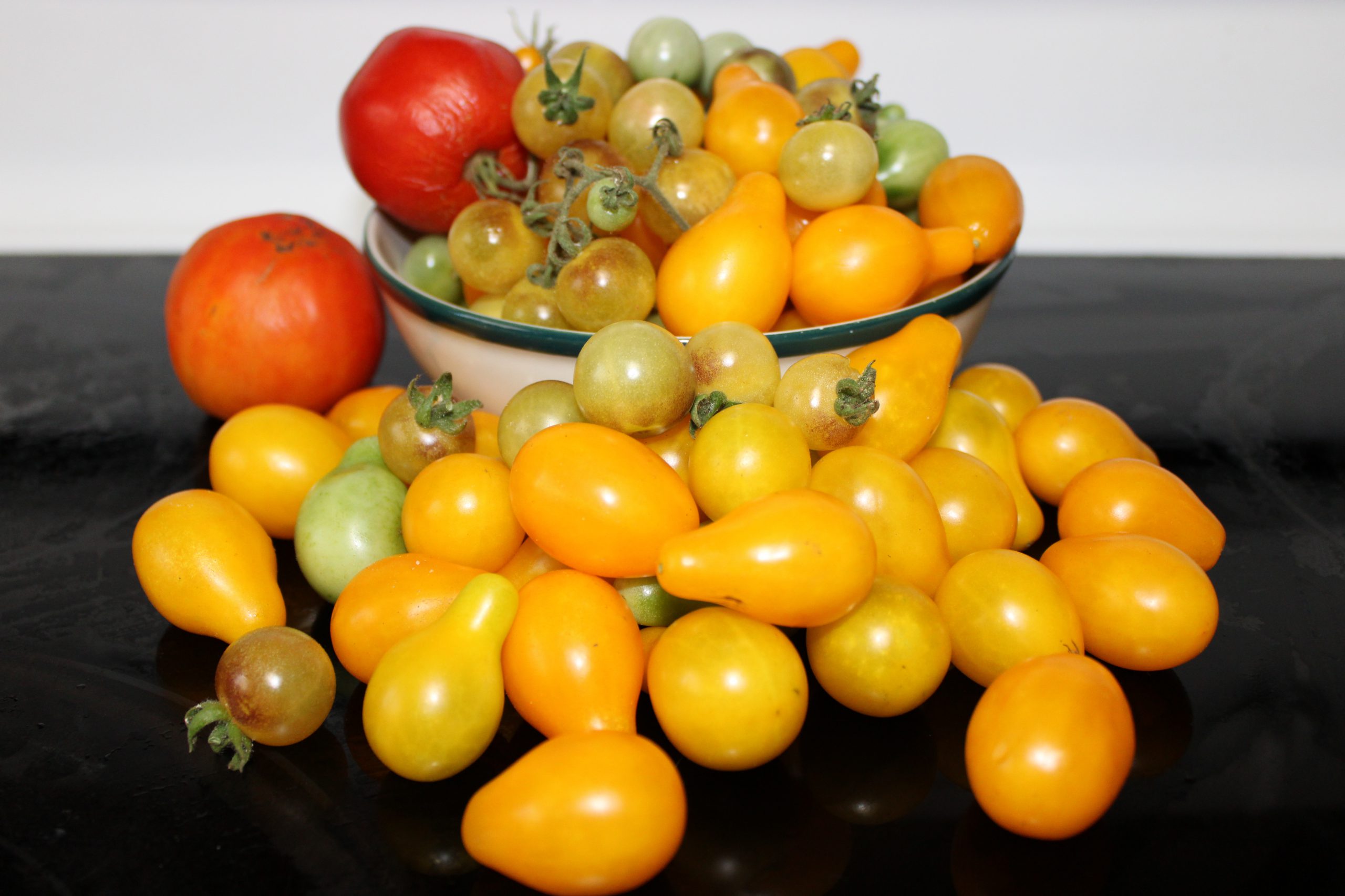 Bowl of Tomatoes